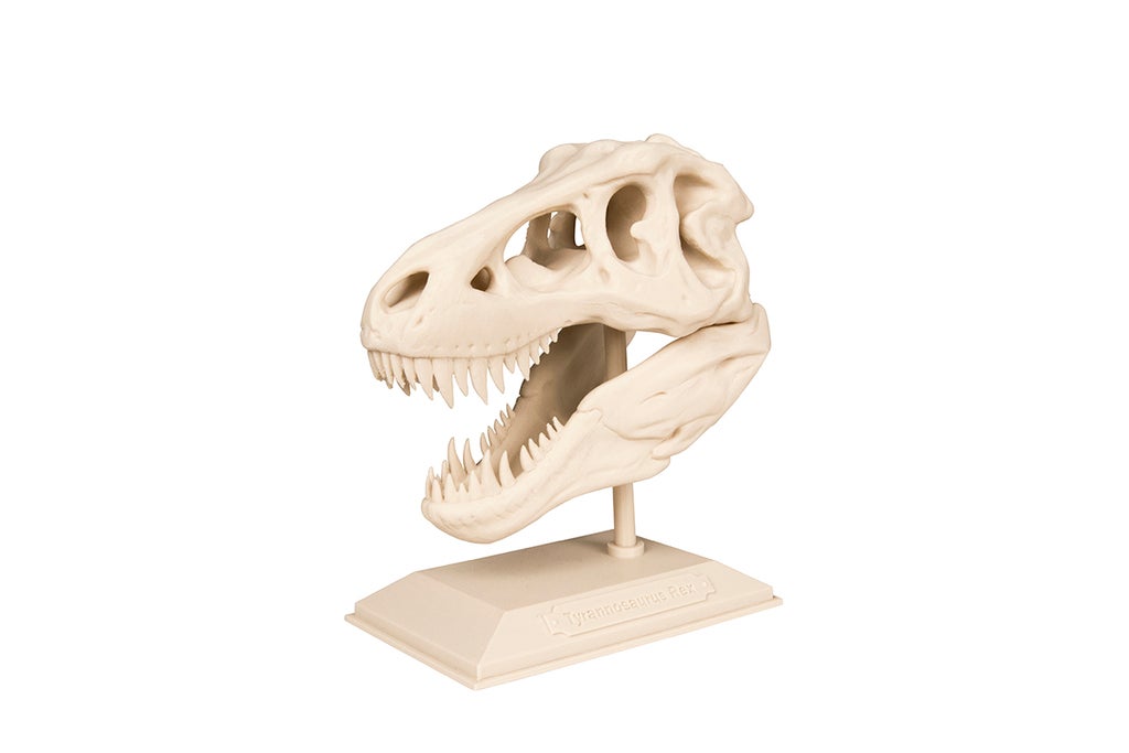 Accesoriu birou Craniu T-Rex Picture